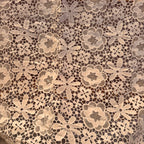 Poly Heavy Chemical Lace Clear Spangle EMBM206D